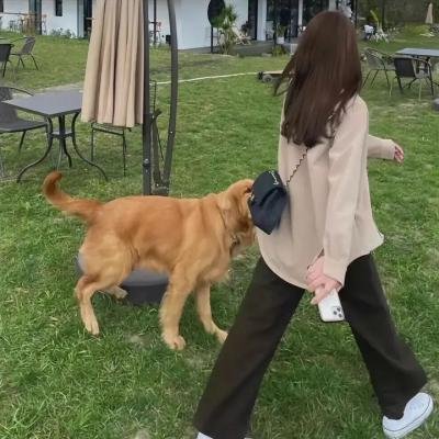 王朝的女人·杨贵妃